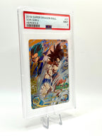 Super Dragon Ball Heroes - Son Goku