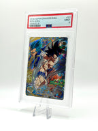 Super Dragon Ball Heroes - Son Goku